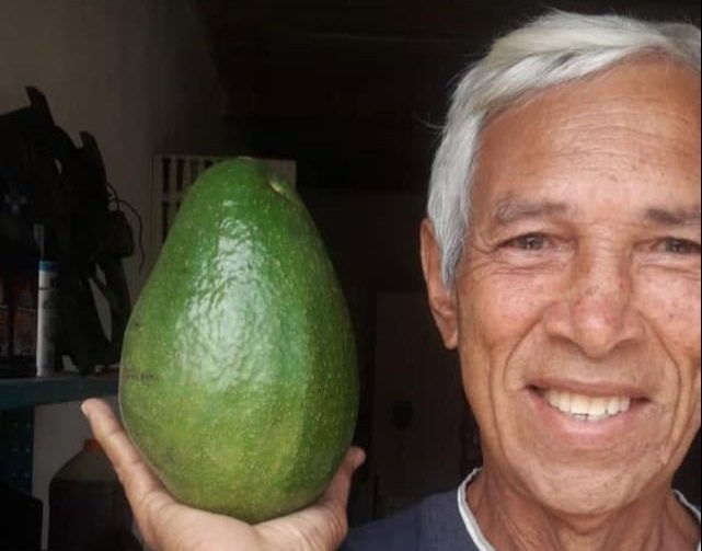 Luis González Centeno
